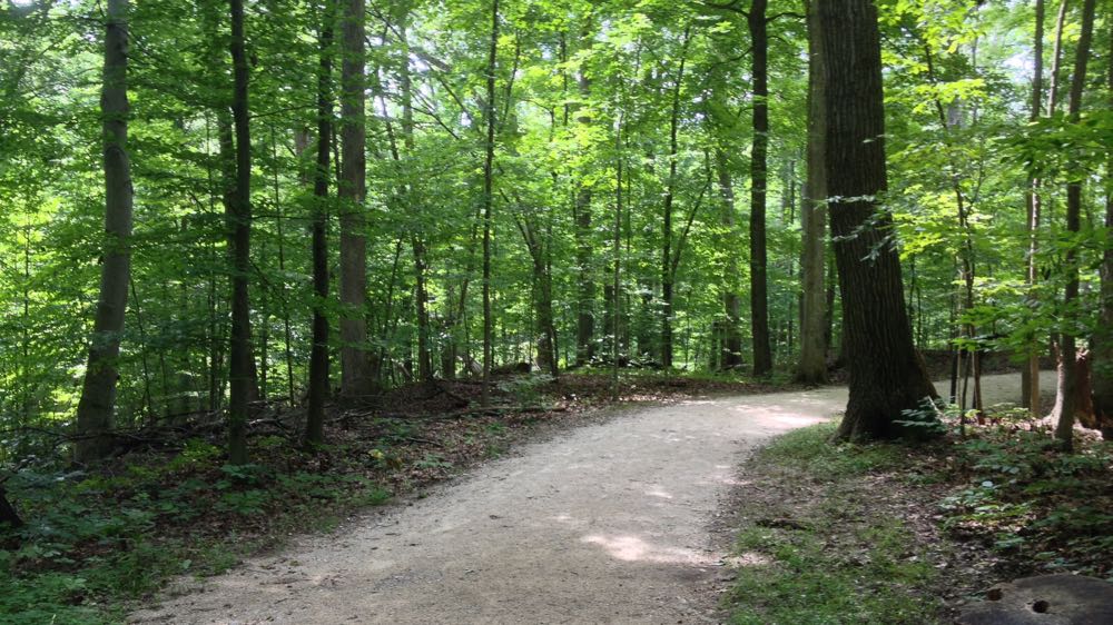 A section of the Overlook Trail at Highbanks Metro Park